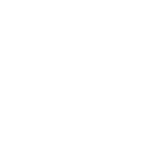 Vegetarisch Barbecue menu – prijs per persoon